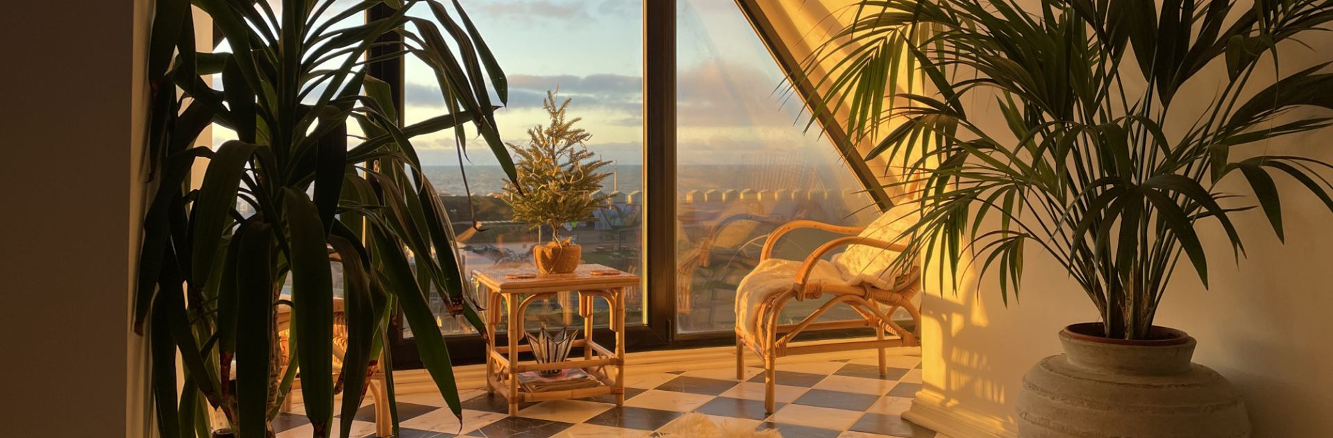 our-properties-1920×631