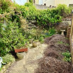 CHH260036_21.jpg
